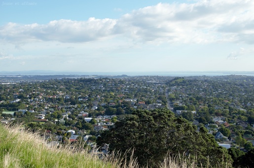 Auckland vue du Mont Eden