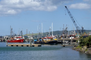 Petit port de pêche de Port-Chalmers, Otago, Nouvelle-Zélande